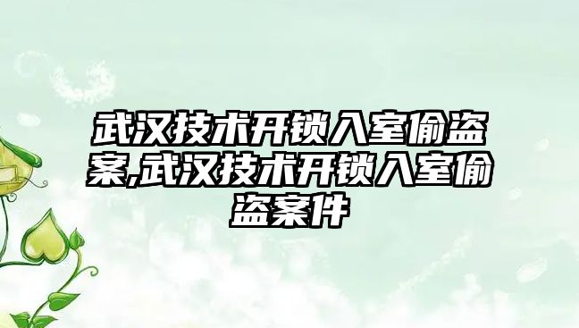 武漢技術開鎖入室偷盜案,武漢技術開鎖入室偷盜案件